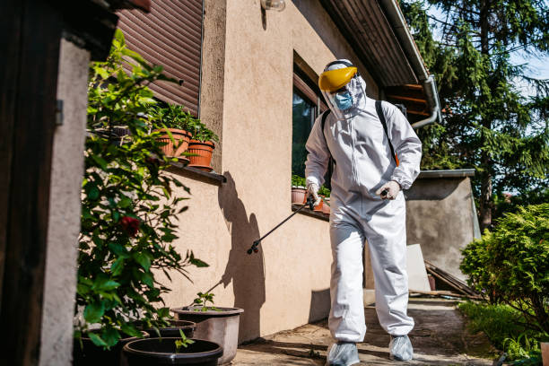 Best Flea Control Services  in Yamhill, OR