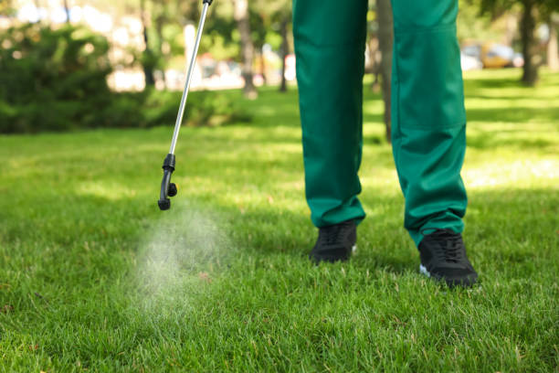 Best Pest Inspection Near Me  in Yamhill, OR