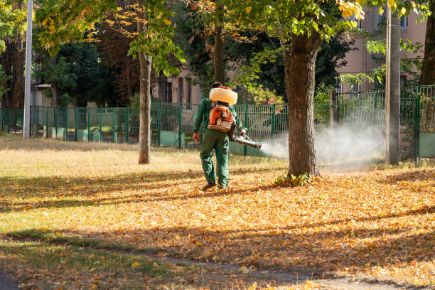 Best Termite Control Services  in Yamhill, OR