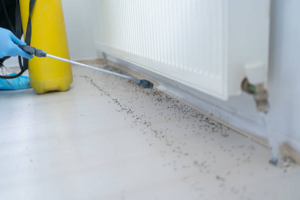 Best Affordable Pest Control Services  in Yamhill, OR