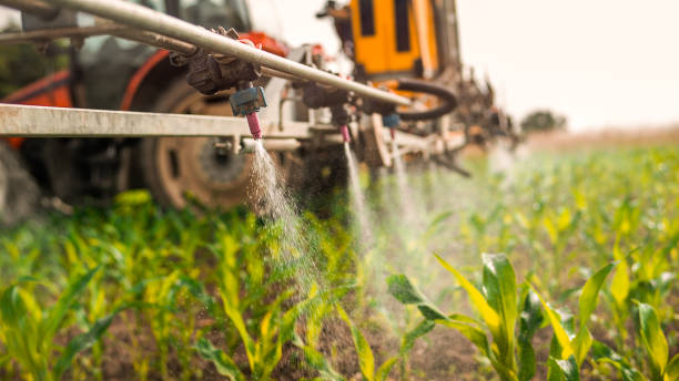 Pest Control Cost in Yamhill, OR