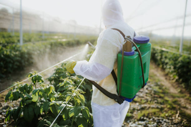Best Best Pest Control Companies  in Yamhill, OR